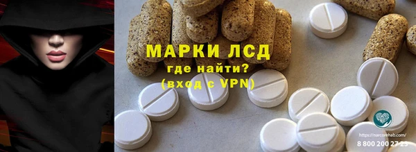 гидра Майский