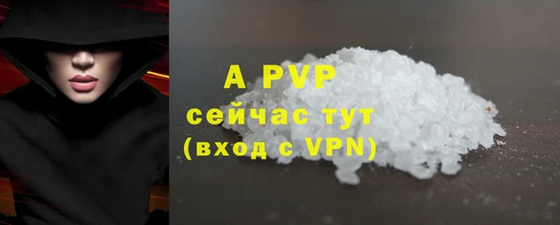 гидра Майский