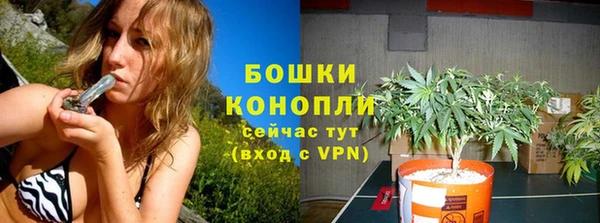 гидра Майский