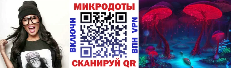 цены   Дубовка  Псилоцибиновые грибы Psilocybine cubensis 